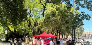 Día Mundial de la Diabetes: realizaron una jornada de testeos y control