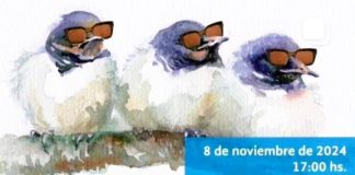 Quinta Edición del Festival de Arte Estudiantil «Música de los Pájaros» en la Escuela de Música Celia Torrá