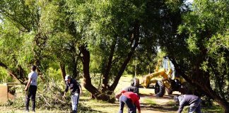 Acondicionan Banco Pelay para el verano 2024/25