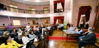 Se debaten proyectos para regular los juegos de apuestas en línea y el abordaje integral de la ludopatía