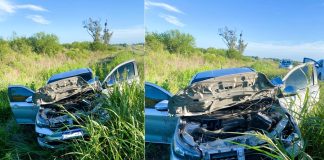 Un vehículo despistó al atravesarse un ciervo en ruta 12