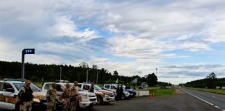 Tras un hecho de abigeato, hallan plantas de marihuana en una investigación en Concordia