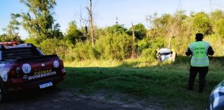 Siniestro Vial en Autovía 12: Un auto despistó y terminó en los pastizales