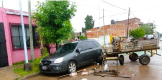 Un carro colisionó con un auto estacionado, y el equino fue retirado antes de la llegada de la policía