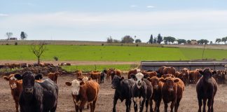 ATER: Las percepciones que se aplican a quienes no tributan Ingresos Brutos apuntan a sancionar la evasión