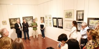 Saffer: medio siglo de arte plástico