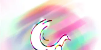 Proyectarán los video-minutos de “Desde la Memoria”