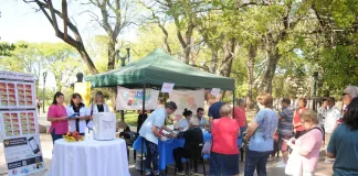 Secretaría de Salud: un año con abordajes y trabajos constantes