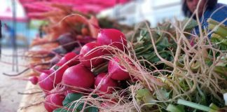 Este jueves vuelve la Feria en tu Barrio