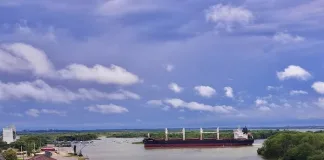 Puerto de Concepción del Uruguay Impulsa Exportaciones de Madereras a la India