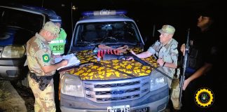 Ruta Nacional 174 Rosario – Victoria: secuestran armas de fuego y cartuchería, identifican a 10 personas