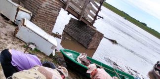 La Brigada Abigeato de Gualeguay y Prefectura Naval secuestran 70 kilos de carne, una embarcación y un arma