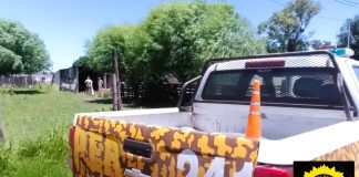 Allanamiento en San Salvador: Secuestran restos de bovino faenado ilegalmente y detienen a un sospechoso