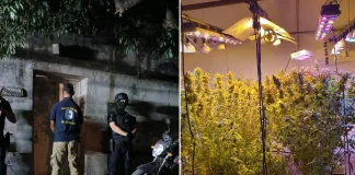 Allanamiento por Narcomenudeo en Rosario del Tala: Un detenido