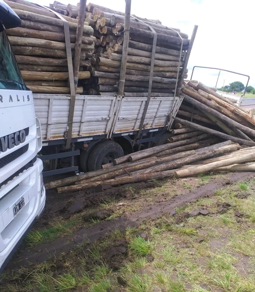 Camionero que transportaba palos se descompensó y volcó en la Autovía Artigas