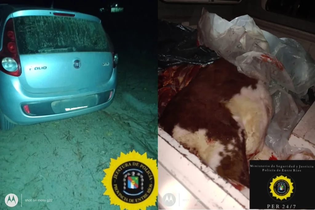 Denuncian Violencia Policial en Chajarí Tras Procedimiento por Abigeato