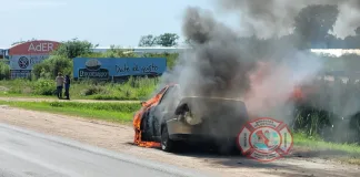 Incendio de un automóvil en Ruta 39: la conductora logró detenerse al detectar humo