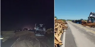 Vuelco en Ruta Provincial Nº 6: Camión de Madera Volcó Tras Esquivar un Caballo