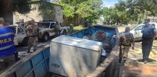 Victoria: Detienen a dos cuatreros por abigeato – Secuestran canoa con freezer y animal vacuno faenado