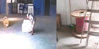 Robo en el Club Atlético Engranaje: sustraen cableado destinado a la iluminación de la cancha