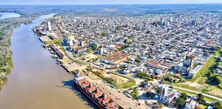 Entre Ríos se consolida como un polo exportador para la industria forestal