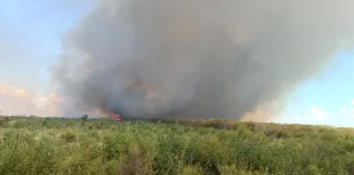 Incendio de Gran Magnitud en Ruta 14: Más de Ocho Horas de Combate para Controlar el Fuego