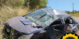Por esquivar una liebre un auto volcó en ruta 42