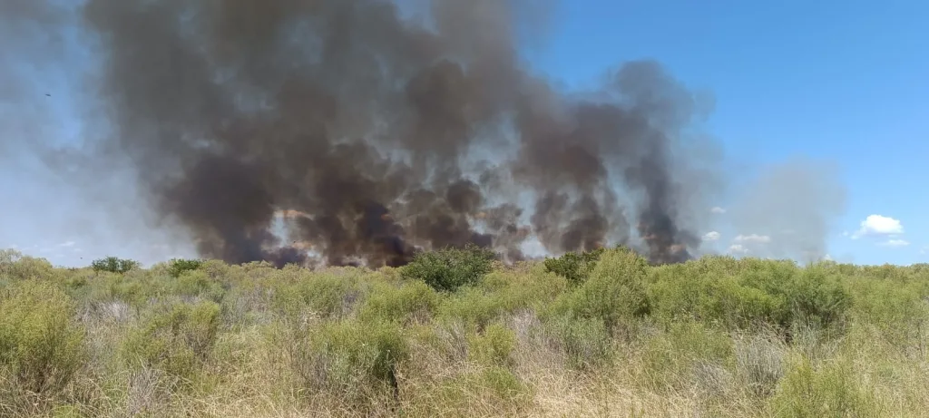 Se prohíbe en Concepción del Uruguay la realización de quemas