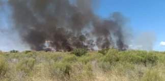 Se prohíbe en Concepción del Uruguay la realización de quemas