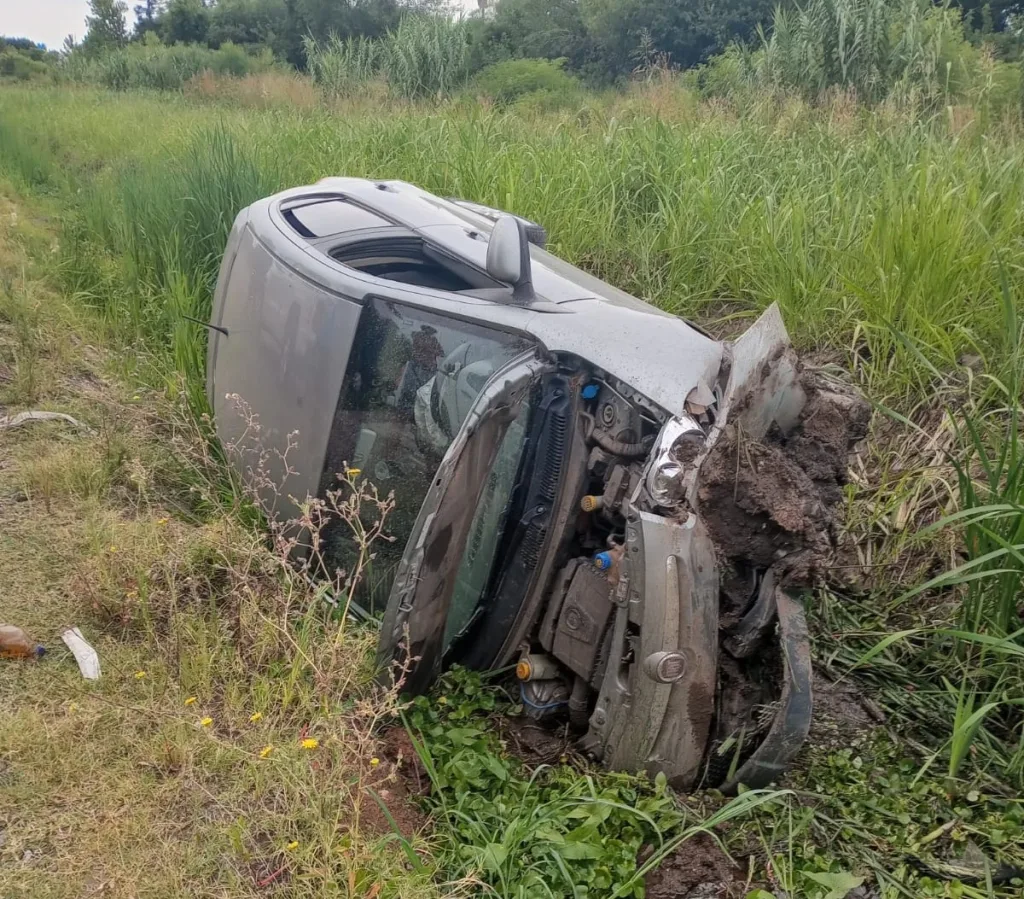 Accidente vehicular: conductor pierde el control al esquivar perros en la vía pública