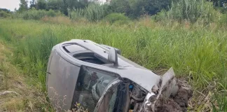 Accidente vehicular: conductor pierde el control al esquivar perros en la vía pública