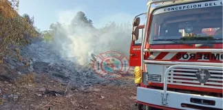 Incendios de Pastizales en la Ciudad: Un Llamado a la Precaución