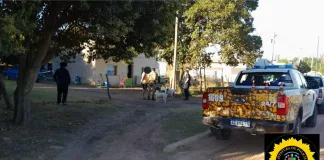 Allanamiento por abigeato en Basavilbaso
