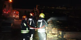 Incendio en acopio de troncos de madera de pino en el acceso a la ciudad