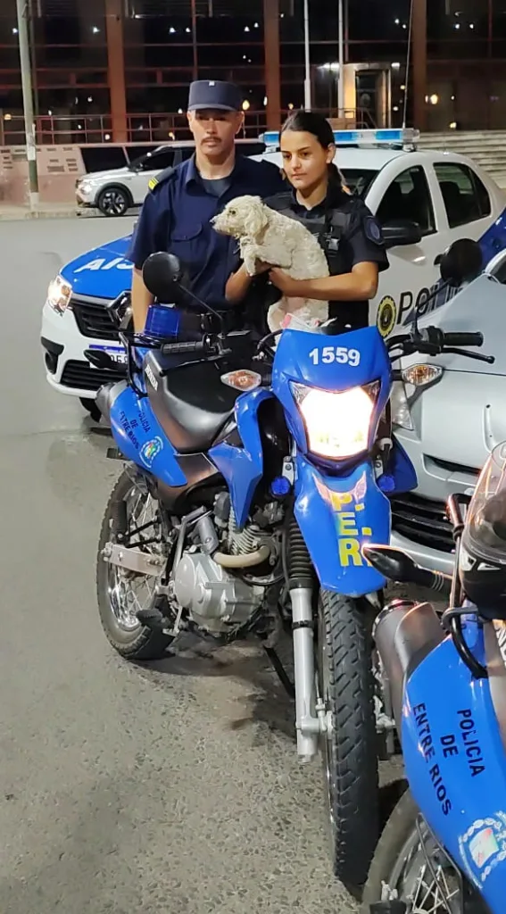 Rápido accionar policial salva a un perro encerrado en auto en Plaza Ramírez