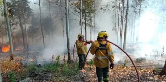 Se decretó la Emergencia Ambiental para combatir incendios