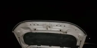 Dos Siniestros viales en la ruta nacional 14: Colisiones con animales sueltos