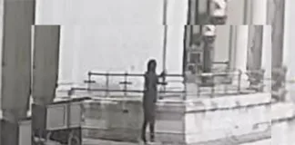 Actos vandálicos y robos en el Cementerio