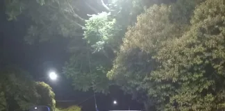 Detienen a acompañante terapéutico por actos obscenos en la vía pública