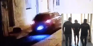 Detuvieron al conductor que atropelló a un perro en Nogoyá y causó indignación