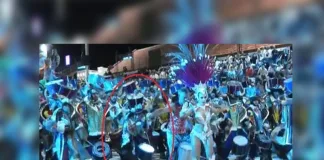 El Carnaval del País tomará medidas sobre los animales sueltos