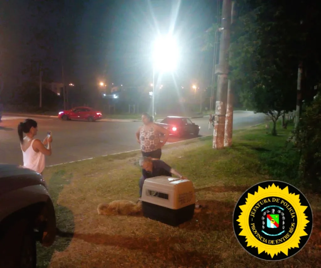 Concordia: Rápida intervención policial frustra intento de sacrificio ilegal de un perro