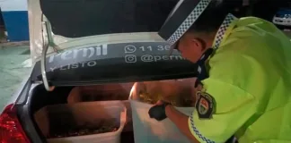 Incautaron 416 plantines de marihuana al conductor de un auto en Paso Cerrito