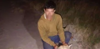 Juez frena investigación sobre brutal caza de puma en Entre Ríos