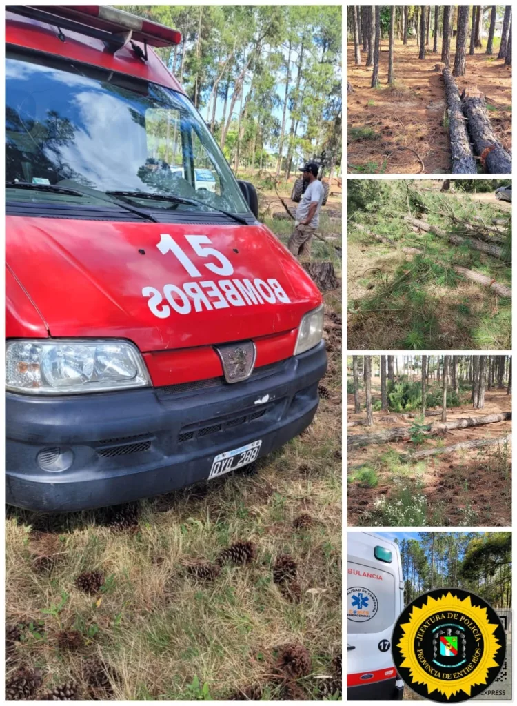 Trágico accidente laboral: operario muere aplastado por un árbol