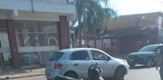 Una mujer sufrió un accidente por esquivar un perro