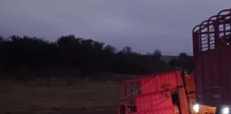 Vuelco de un camión que transportaba equinos en Ruta Nacional N°12