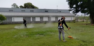 Con corte de pasto, continúan trabajando en las escuelas
