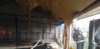 Incendio en una granja en Caseros: Bomberos controlaron el fuego rápidamente