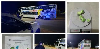 Viajaba con sustancias prohibidas: Detienen a hombre con cocaína en operativo policial